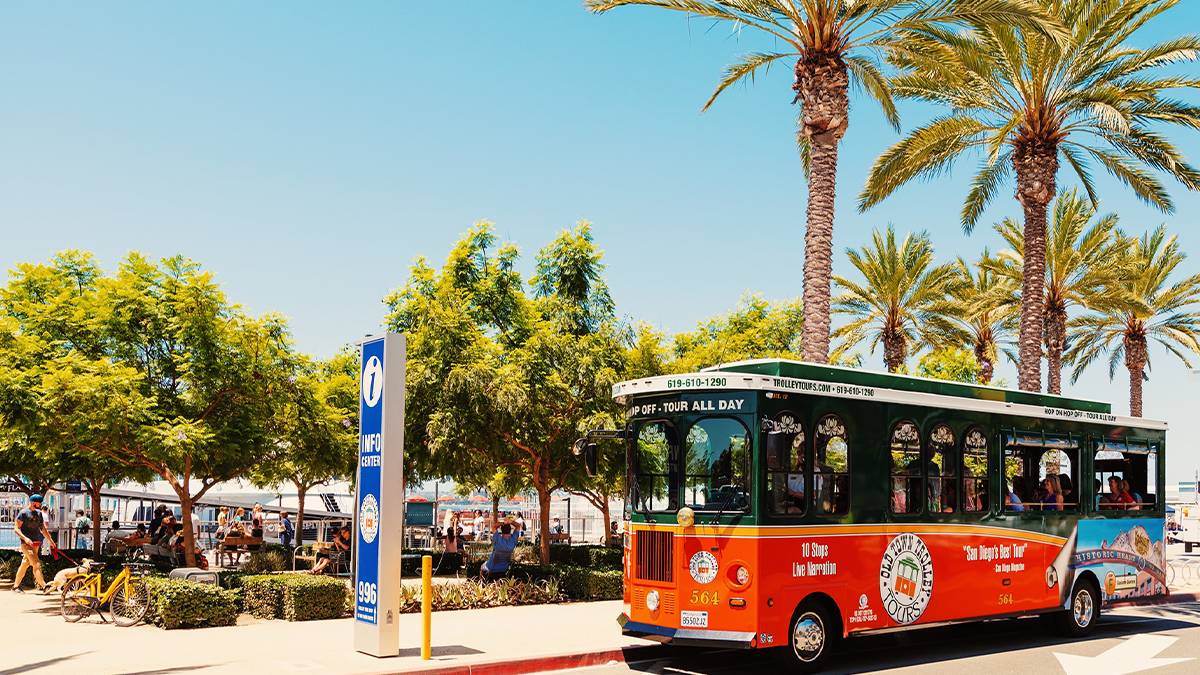 People on an Old Town Trolley Tour Driving Down Palm Tree Lined Street - San Diego, California, USA